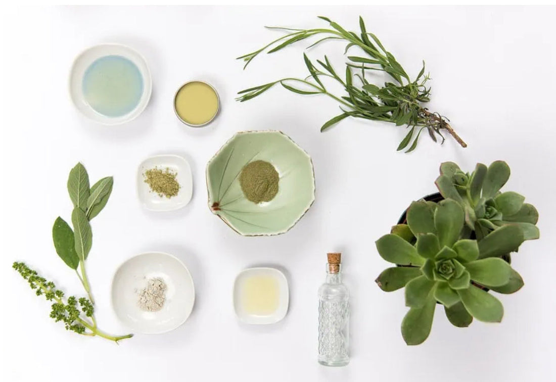 Image shows natural ingredients like aloe, butters, and  herbs