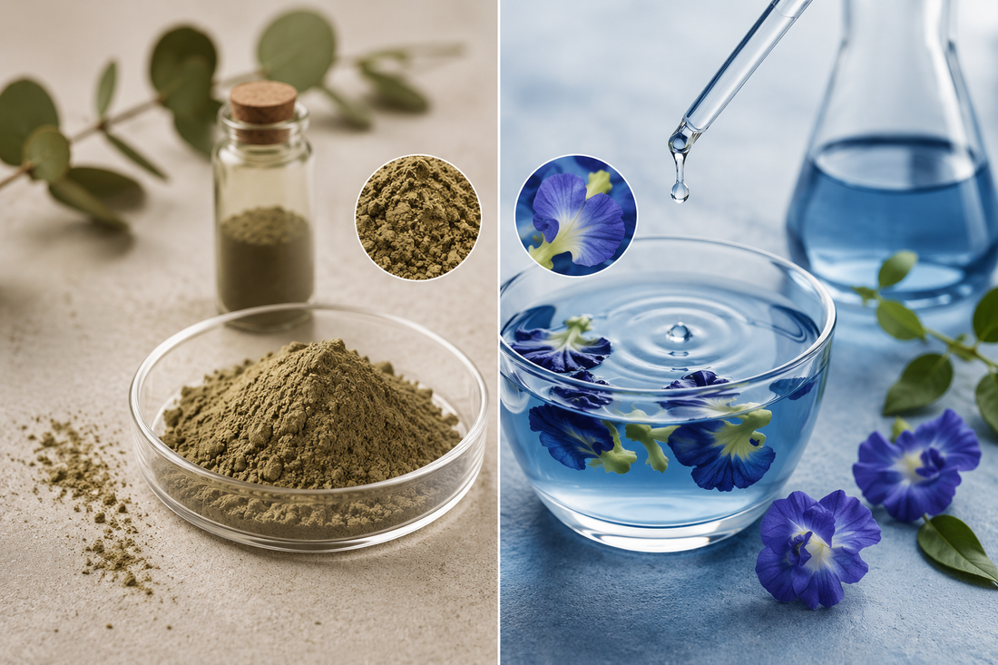 Powdered tea beside blue tea infusion illustrating differences in tea infused skincare formulation
