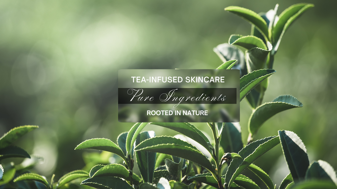 Tea plant leaves in soft sunlight with overlay text tea infused skincare pure ingredients rooted sun