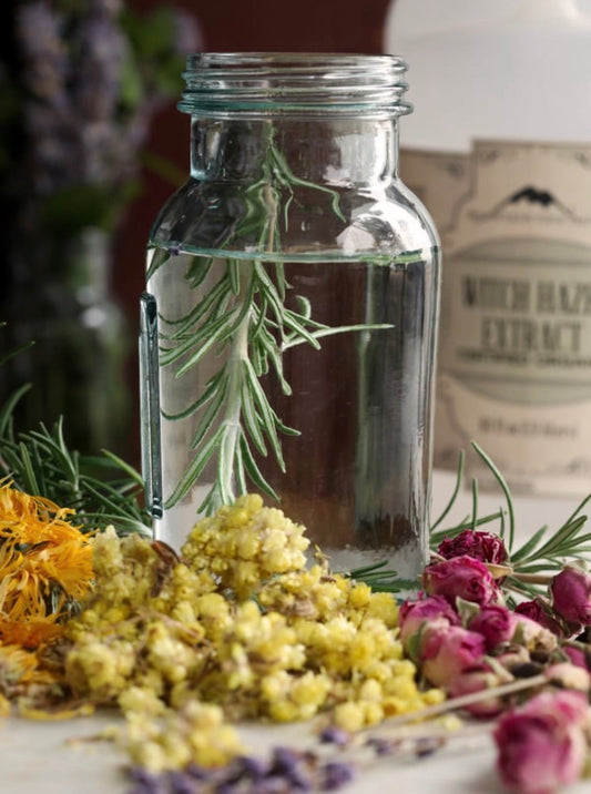 Botanical tea infusion with rosemary, rose buds and herbs in glass jar representing natural tea-infused skincare ingredients.