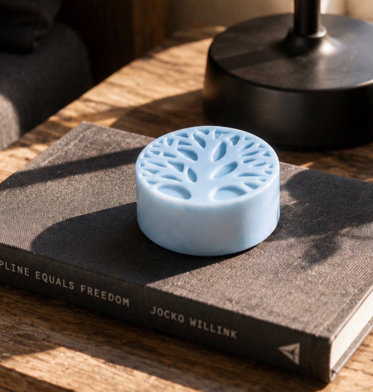 Blue Tea-Licious solid lotion bar resting on a book in warm sunlight with soft natural shadows.